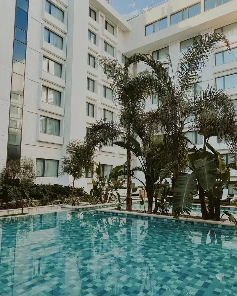 angelinaandantonis hyatt