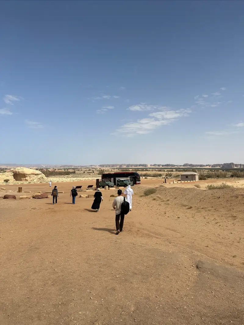saudi arabia alula saudi arabia alula